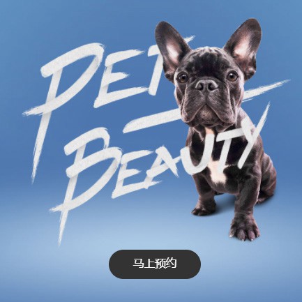 扶余宠物中心小程序开发